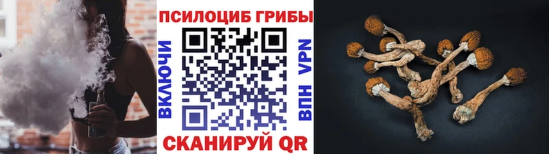 Галлюциногенные грибы ЛСД Черногорск